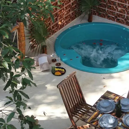 Jungle Loft Casa Colibri Apartment